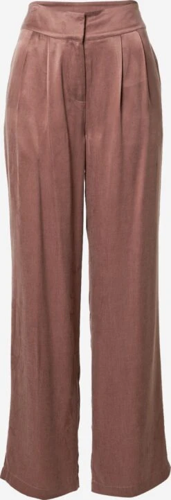 Bandplooibroeken Wide Leg Bandplooibroek Silvia Dames Bruin