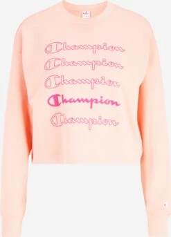 Sweatshirts Sweatshirt Dames Pink / Rosa