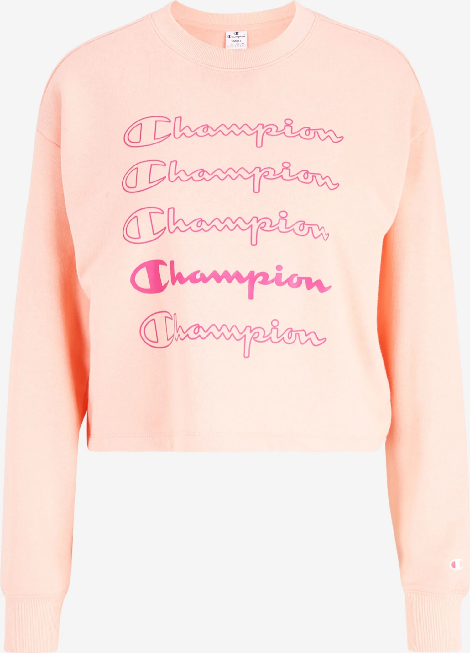Sweatshirts Sweatshirt Dames Pink / Rosa 3 Sweatshirts Sweatshirt Dames Pink / Rosa