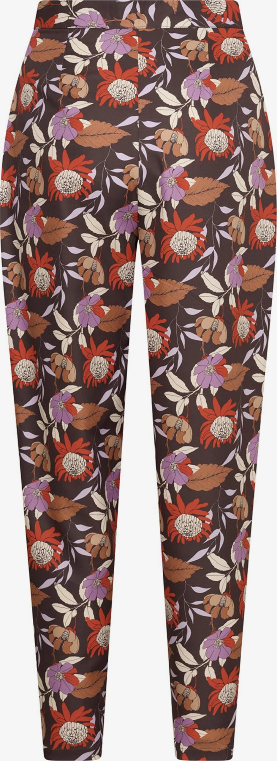 Bandplooibroeken Tapered Bandplooibroek Umi Says Dames Bruin / Chocoladebruin 4 Bandplooibroeken Tapered Bandplooibroek Umi Says Dames Bruin / Chocoladebruin - Afbeelding 2