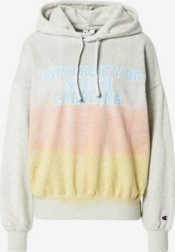 Hoodies Sweatshirt Dames Grijs Gemêleerd