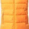 Derbe Bodywarmers Bodywarmer Vestholm Dames Oranje
