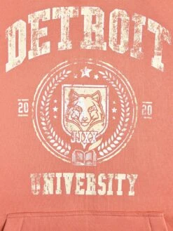 JJXX Hoodies Sweatshirt Zoey Dames Koraal -Schmuddelwedda Winkel 925c6feeb1d680ba6b5f1b5875c88bb6