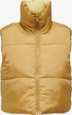 ONLY Bodywarmers Bodywarmer Ricky Dames Mosterd / Lichtgeel