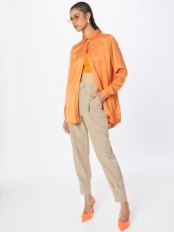 Vero Moda Bandplooibroeken Regular Bandplooibroek Dames Beige -Schmuddelwedda Winkel a7b8b2220537adc9f7a91f994d6efbd9