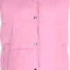 Pieces Petite Bodywarmers Bodywarmer Dames Lichtroze 2 Pieces Petite Bodywarmers Bodywarmer Dames Lichtroze -Schmuddelwedda Winkel d3f1c94ef3e6a98477e3650aee5b9e13