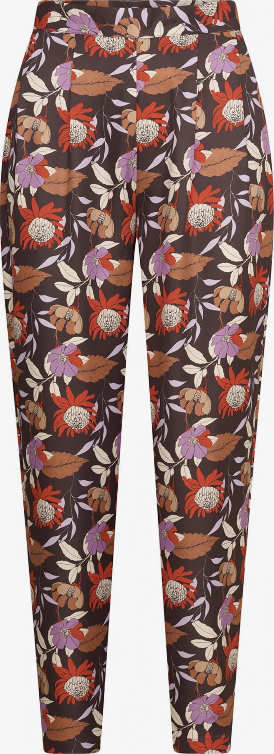 Bandplooibroeken Tapered Bandplooibroek Umi Says Dames Bruin / Chocoladebruin 3 Bandplooibroeken Tapered Bandplooibroek Umi Says Dames Bruin / Chocoladebruin